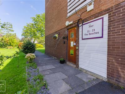 Picture 24